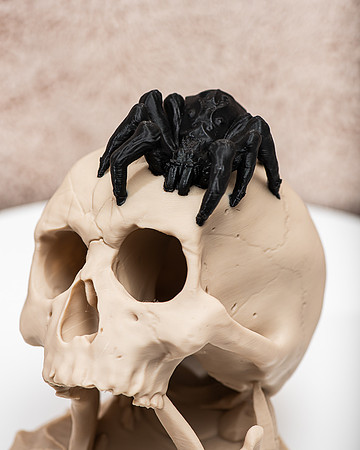 3D PRINTS-7