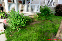 Front Landscape Project-19