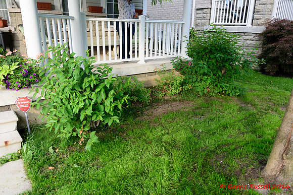 Front Landscape Project-19