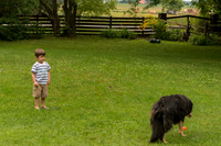 Mount Albert-15