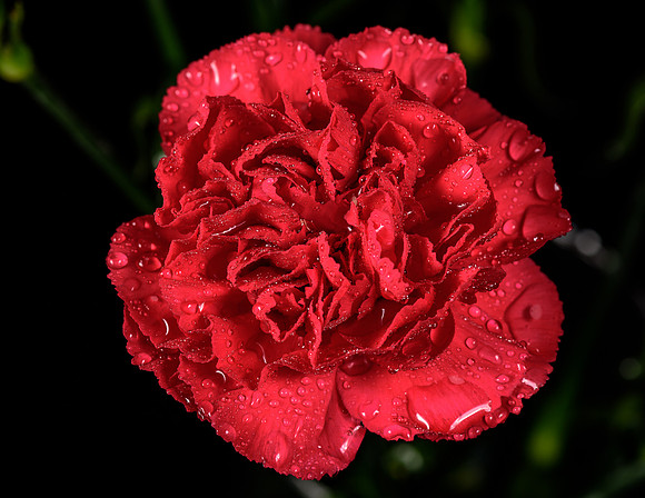 Macro-11