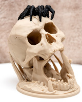 3D PRINTS-3