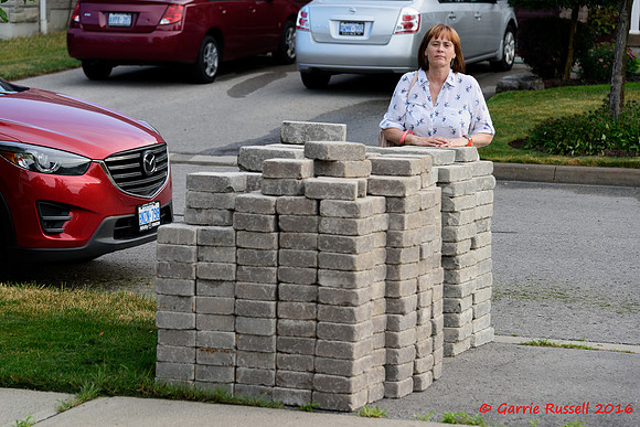 Front Landscape Project-4