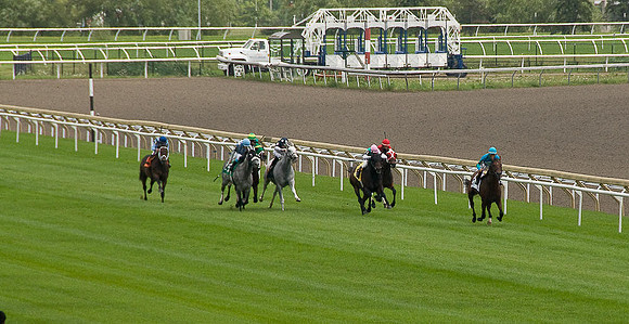 Woodbine Racetrack-3