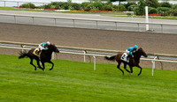 Woodbine Racetrack-4