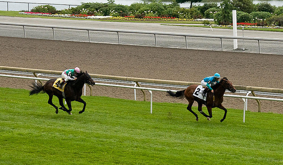 Woodbine Racetrack-4