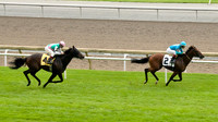 Woodbine Racetrack-5