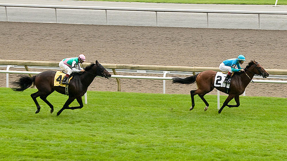 Woodbine Racetrack-5