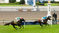 Woodbine Racetrack-6