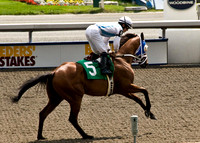 Woodbine Racetrack-7