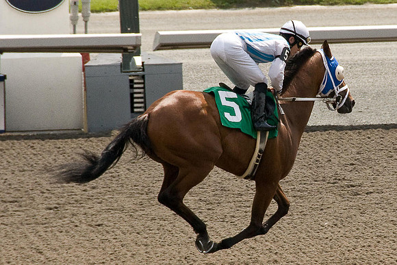 Woodbine Racetrack-8