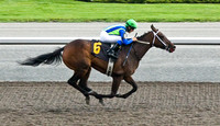 Woodbine Racetrack-11