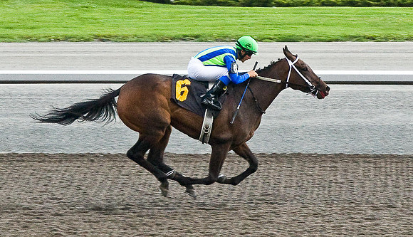 Woodbine Racetrack-11