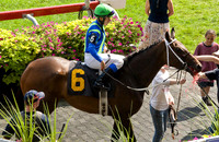 Woodbine Racetrack-12