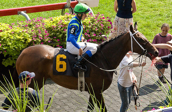 Woodbine Racetrack-12