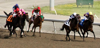 Woodbine Racetrack-13