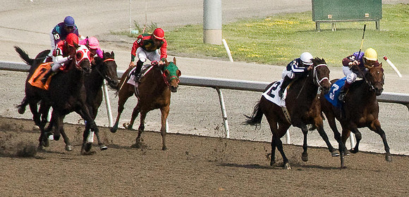 Woodbine Racetrack-13