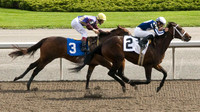 Woodbine Racetrack-14