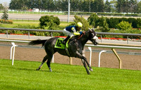 Woodbine Racetrack-17