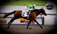 Woodbine Racetrack-20