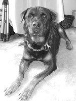 OZ, our largest "Baby"