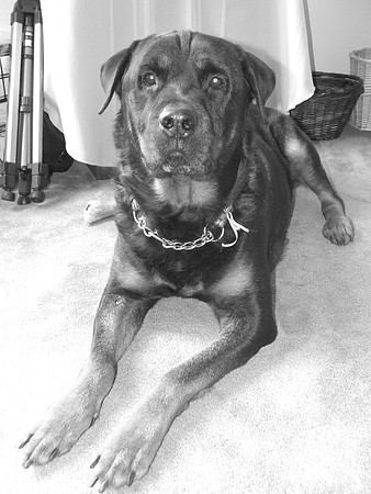 OZ, our largest "Baby"