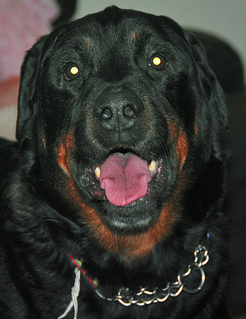 My wonderful OZ© Garrie Russell 2008
