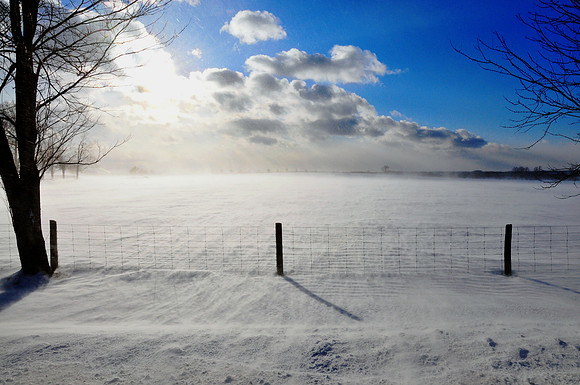 Winter Scene.© Garrie Russell