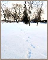 Footsteps.© Garrie Russell