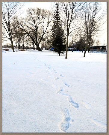 Footsteps.© Garrie Russell