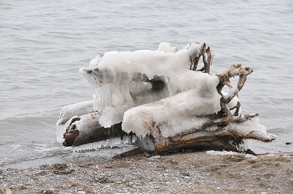 Cold Tree.© Garrie Russell