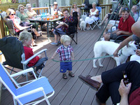 Brandon being a dog walker© Garrie Russell
