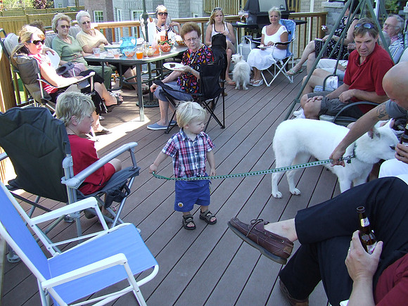 Brandon being a dog walker© Garrie Russell