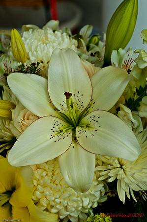 Mothers Day 2010 (1 of 3)