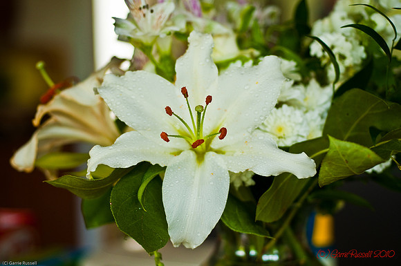 Mothers Day 2010 (3 of 3)