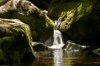 Wales 2010-553