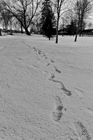 Steps