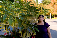 Niagara-On-The-Lake-1
