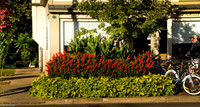 Niagara-On-The-Lake-3
