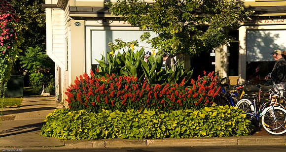 Niagara-On-The-Lake-3