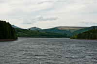Wales 2010-17
