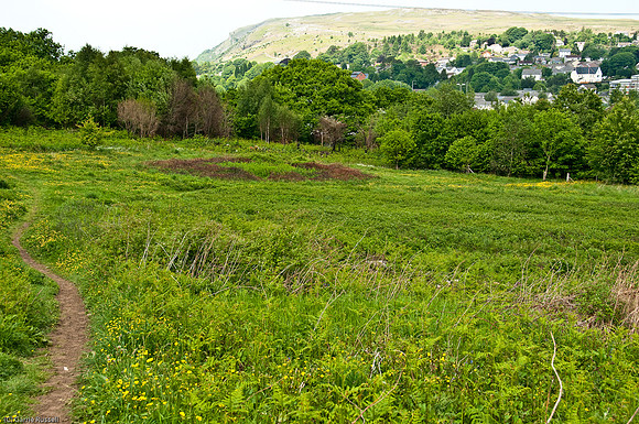 Wales 2010-507