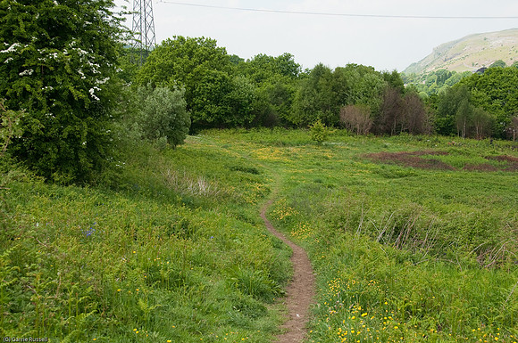 Wales 2010-508