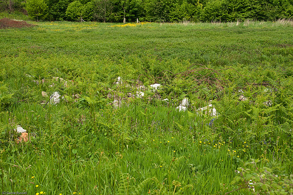 Wales 2010-510
