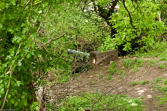 Wales 2010-511