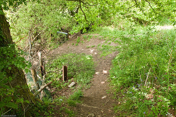 Wales 2010-512