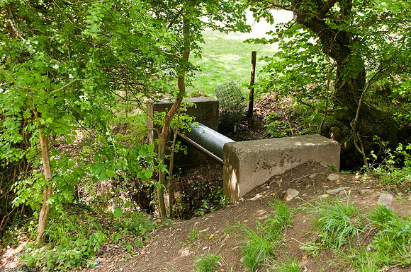 Wales 2010-513