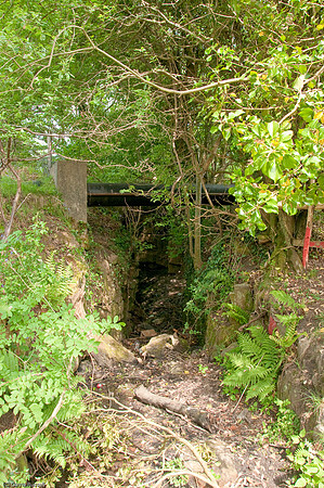 Wales 2010-514