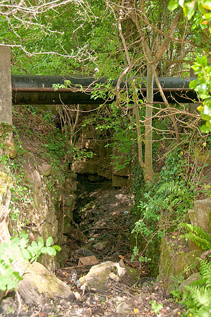 Wales 2010-515