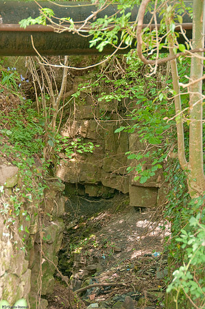 Wales 2010-516